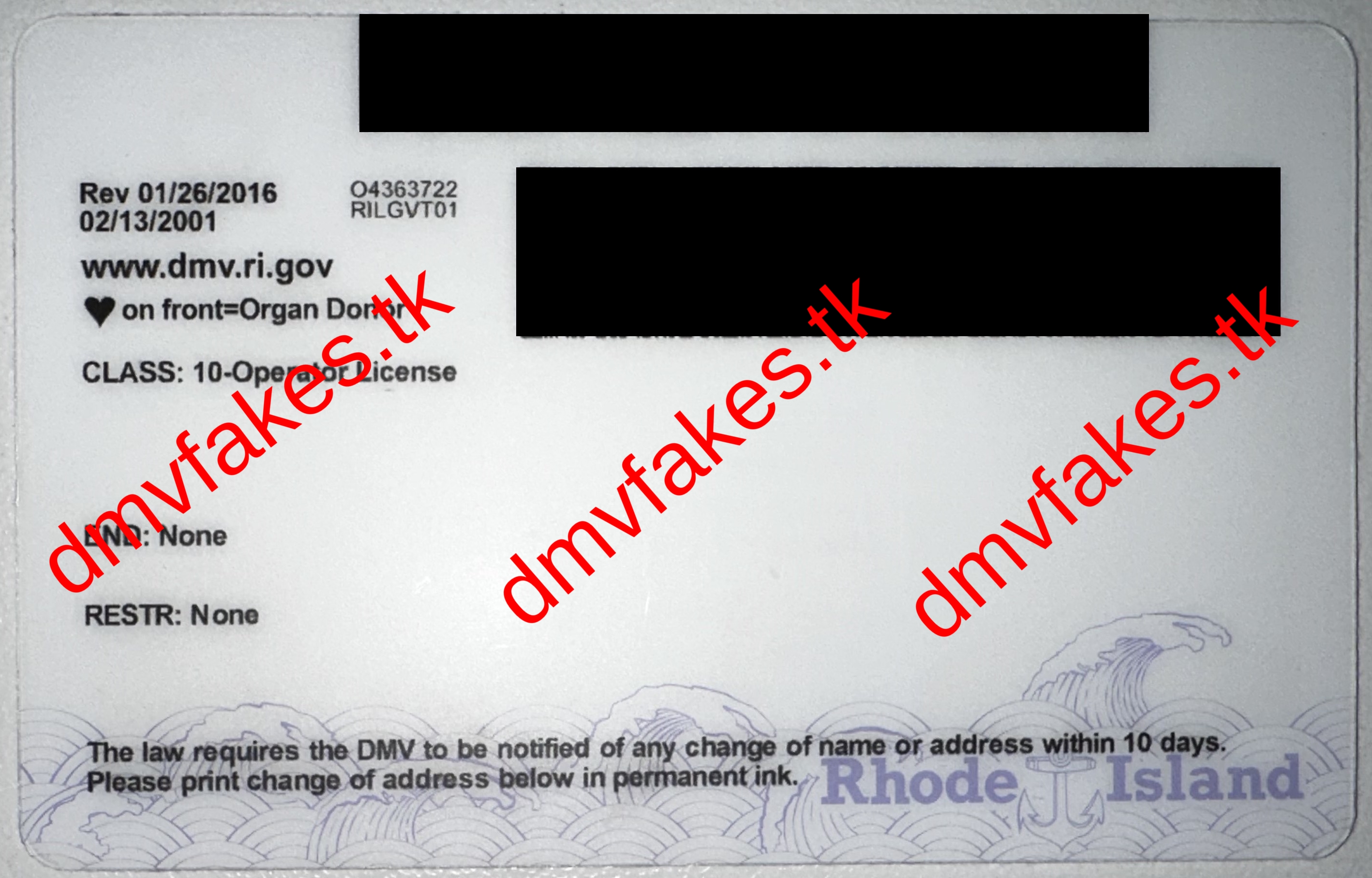 RI Review Image 2